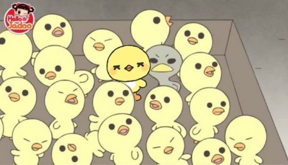 🐻 tweet media