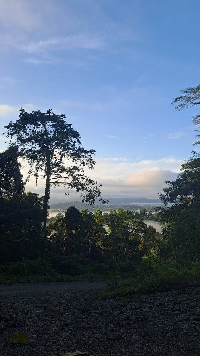 VeritasL30945's tweet photo. Check the scenery.. man
This is peak nature. If they flip this into a oil palm plantation, 
we're losing something you can't just buy back.

This is not an empty land..
get fuck outta here !!! https://t.co/5yp37xCX44