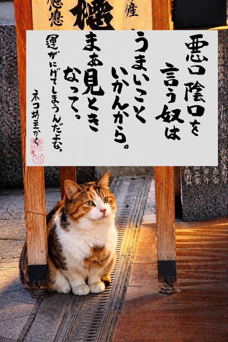 専念寺/ネコ坊主 tweet media