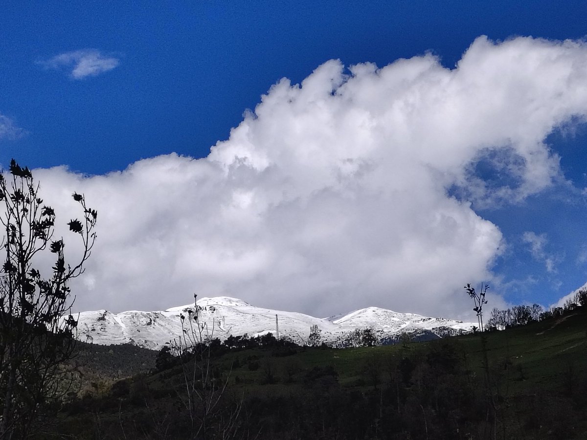 MeteoRibes tweet media