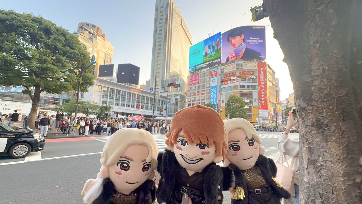 まー🎹 tweet media