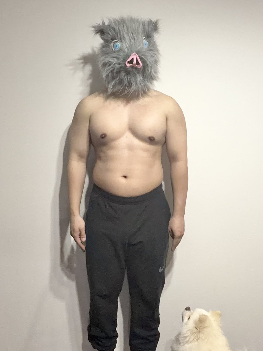 伊之助ボディになるまで毎日腹筋ローラー tweet media