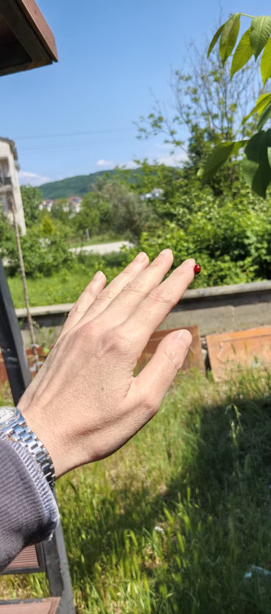 Seda Şahin tweet media