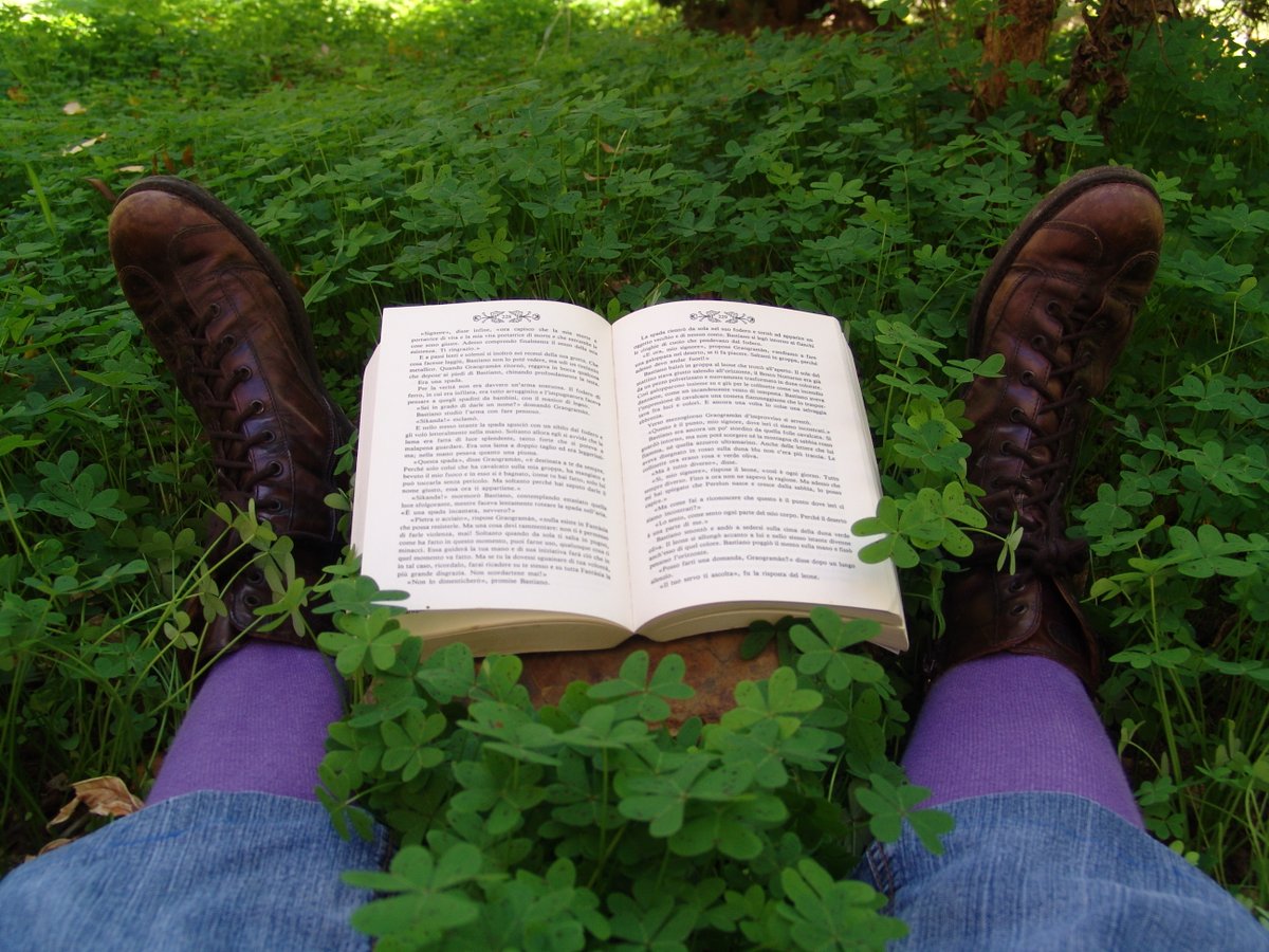 RMLupo59's tweet photo. Storie da sognare, storie da raccontare.
#story #libridaleggere #amoleggere #ioleggoeminnifuttu
.
#RosaMariaLupo https://t.co/eXIpl8LLBX