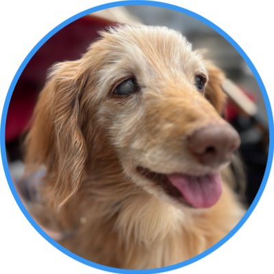 新しいプロフィール画像