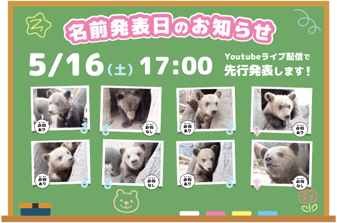 およそ30分後に、子グマ8頭🐻🐻🐻🐻🐻🐻🐻🐻の名前発表を行います