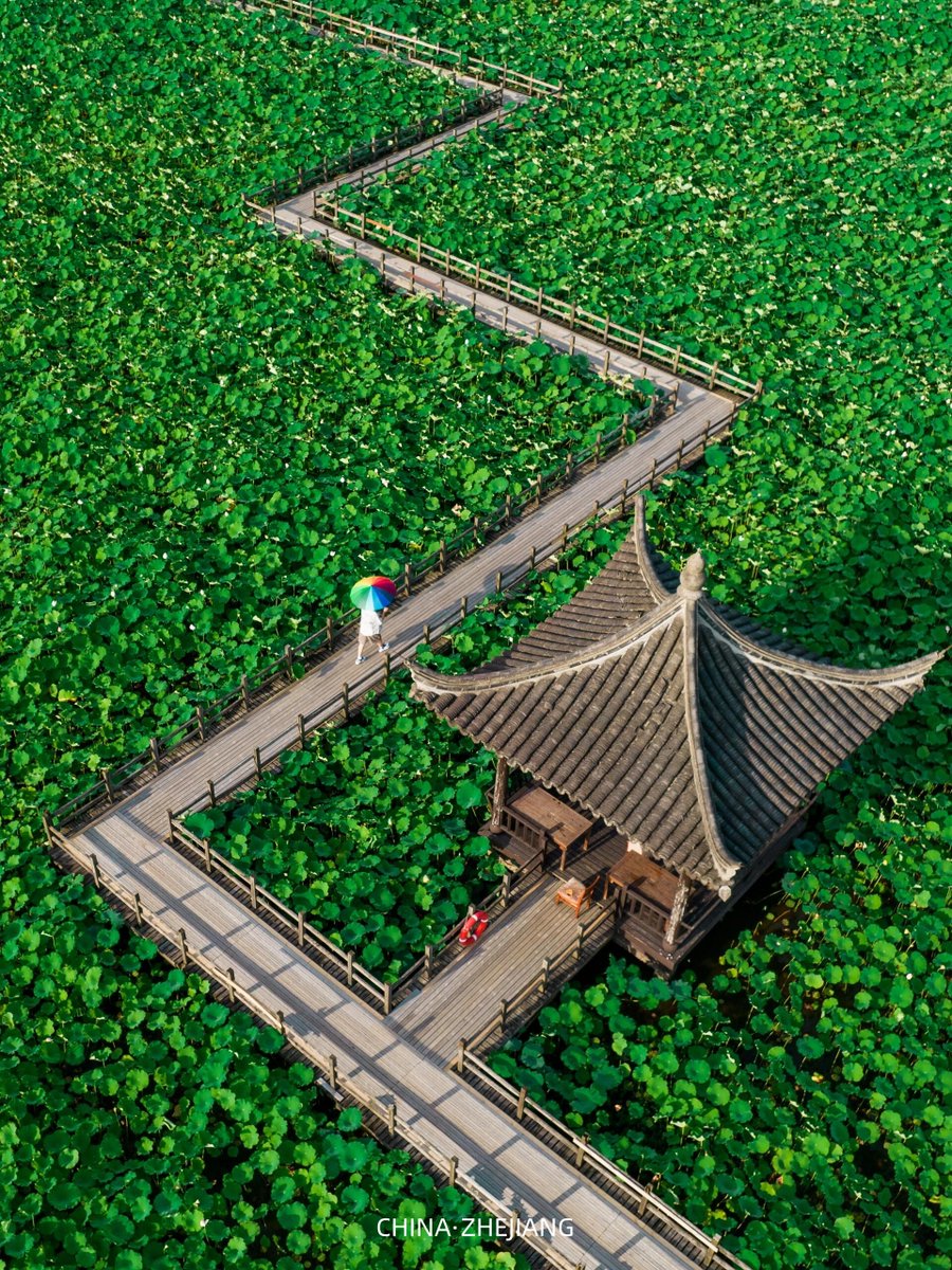meijingtianxia's tweet photo. A perfectly symmetrical view so satisfying it might actually cure my OCD for a second. 😂✨
#OddlySatisfying #Symmetry #Aesthetic #PerfectShot #Chinalife #mycity #landscape https://t.co/utSuxt4pCz
