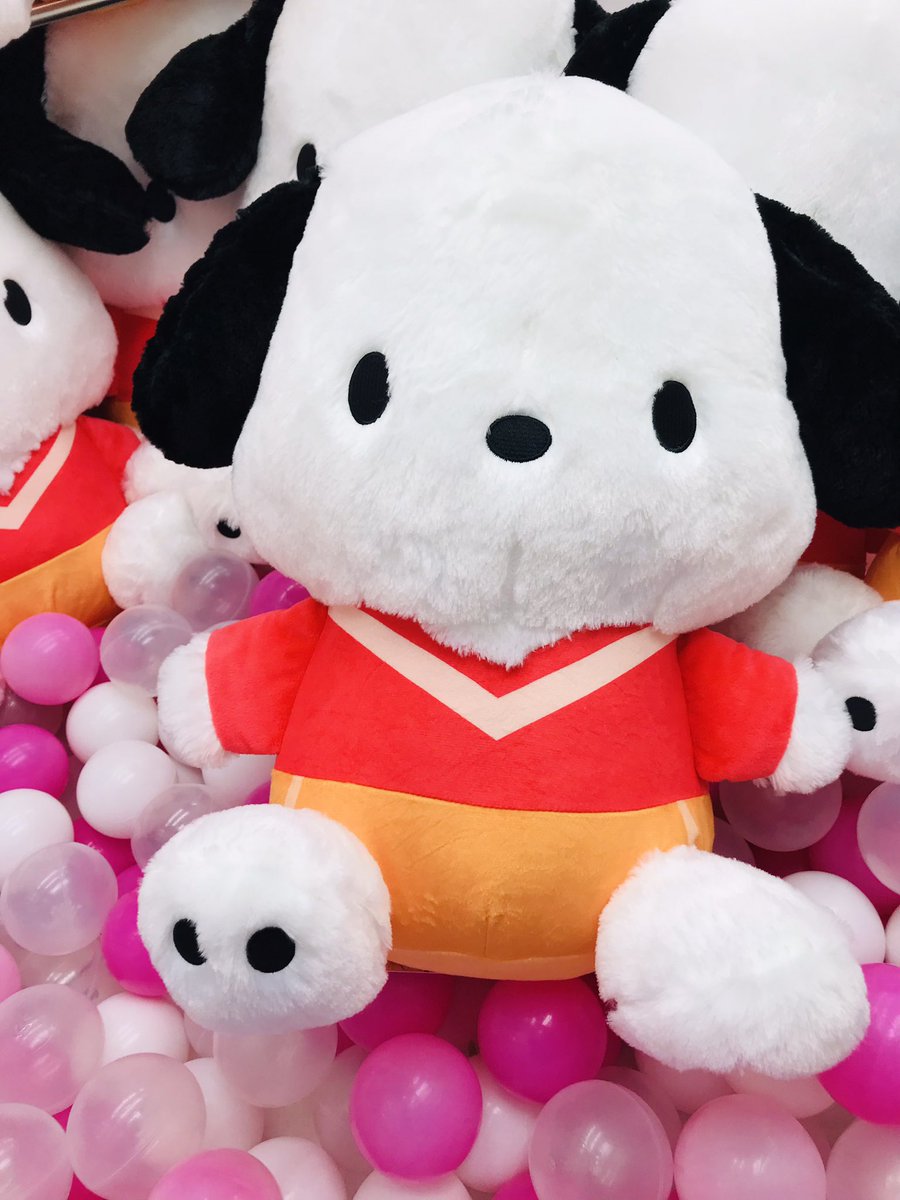 big ポチャッコ　ぬいぐるみ まとめ売り❗️タグ付き！　[サンリオ] 約30 BIG 王様 ぬいぐるみ ポチャッコ フリュー Amazon.co.jp: ぬいぐるみ