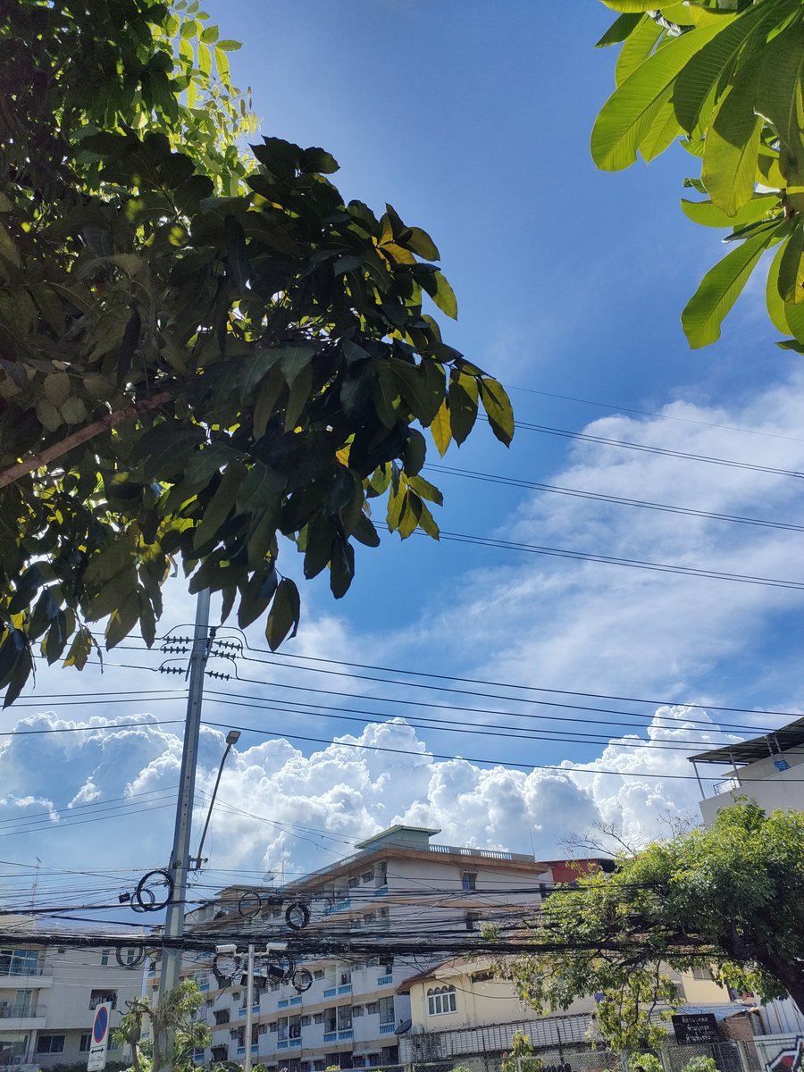 ผู้หญิงเทาๆ tweet media