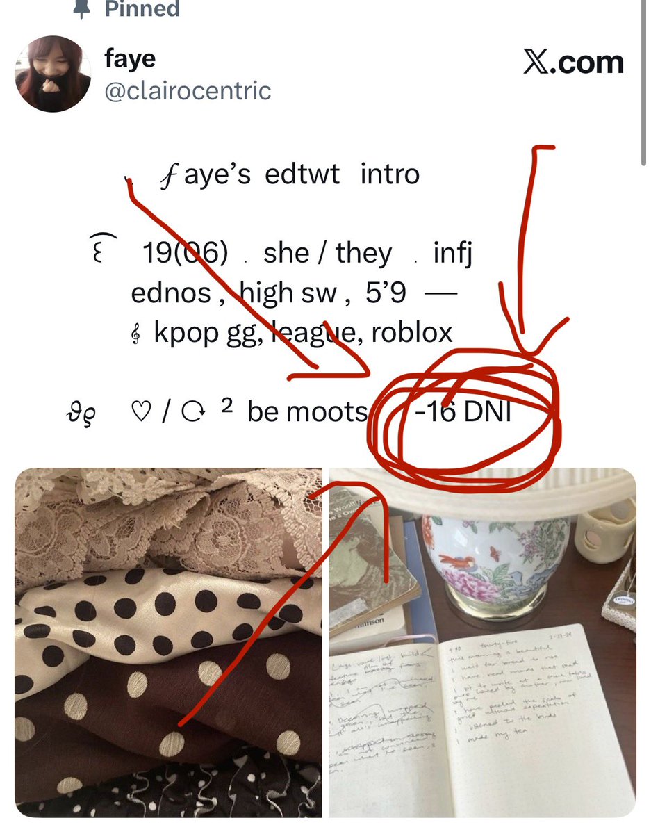 faye tweet media