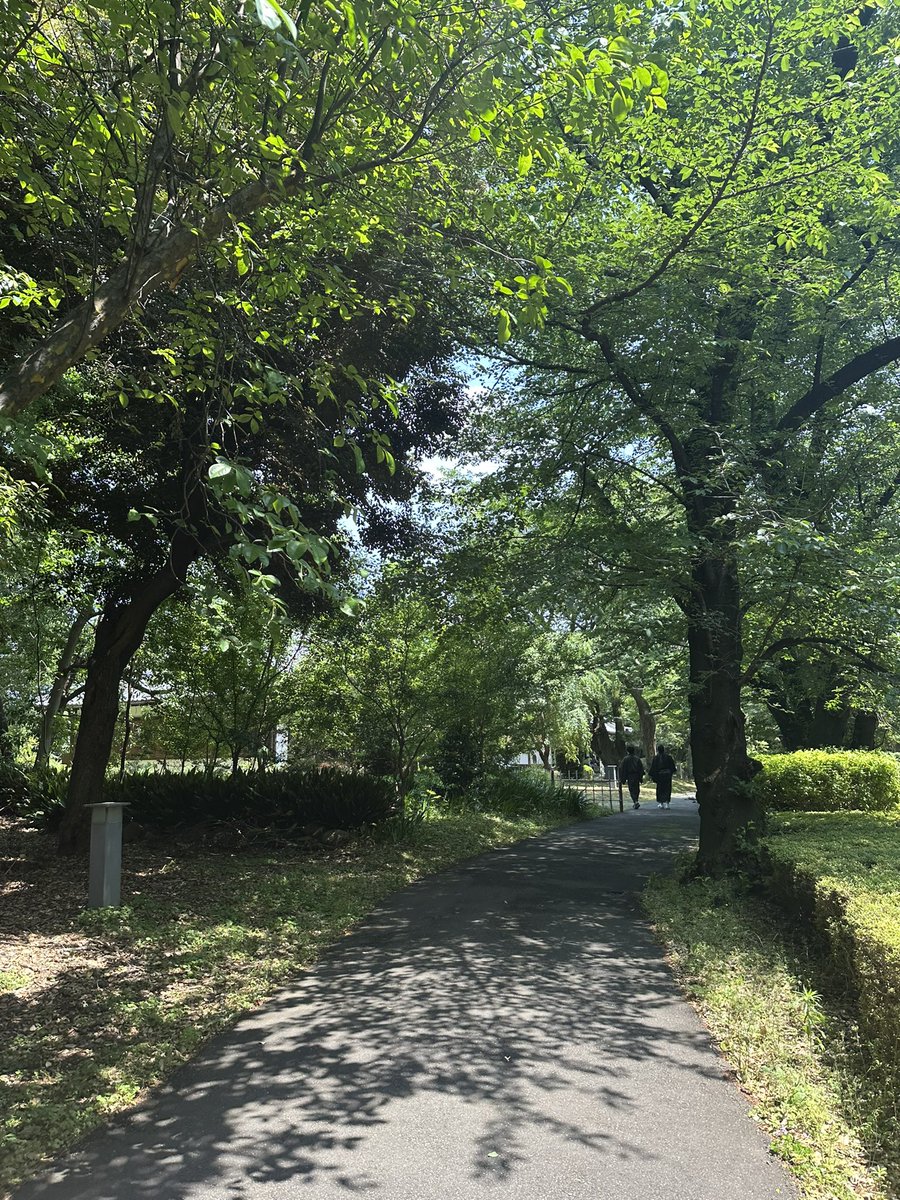田実陽子 tweet media