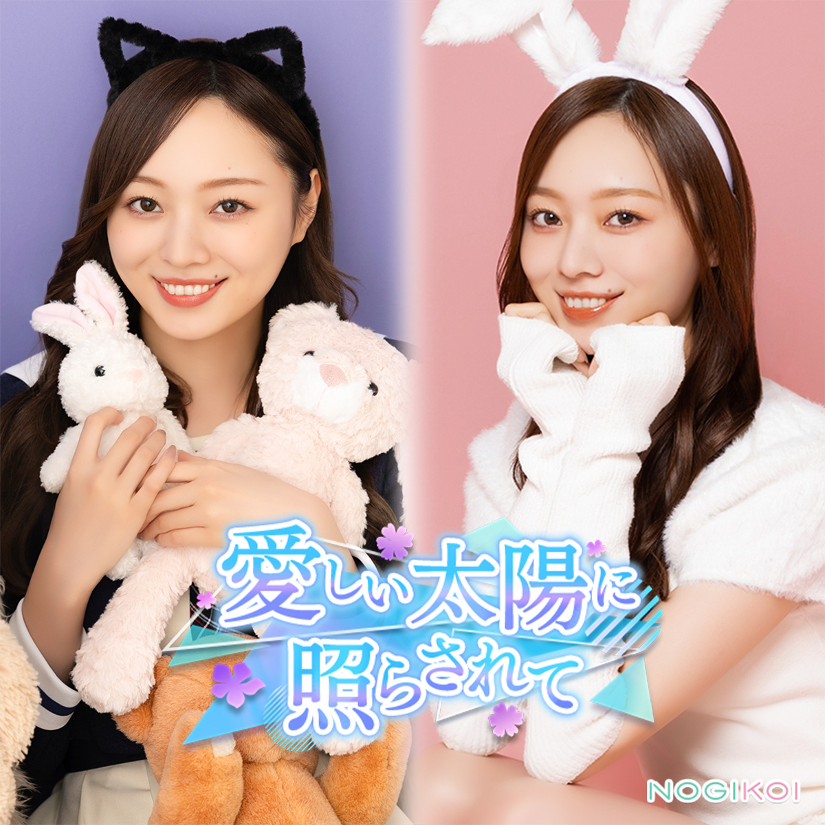 【公式】乃木恋 tweet media