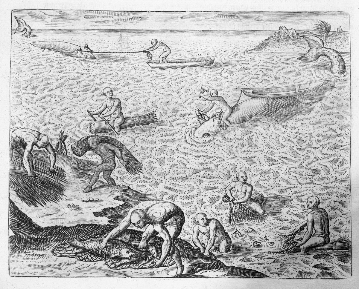 Stonefishweirs's tweet photo. Indigenous whaling through the prism of European perceptions! "American Indian method of whaling", from an account by Jose de Acosta, #17th century. The illustrations of #whaling by Theodore de Bry Interpreted how #indigenouscommunities hunted whales. #coastalhistory #4oceans https://t.co/TjfU4oZbpK