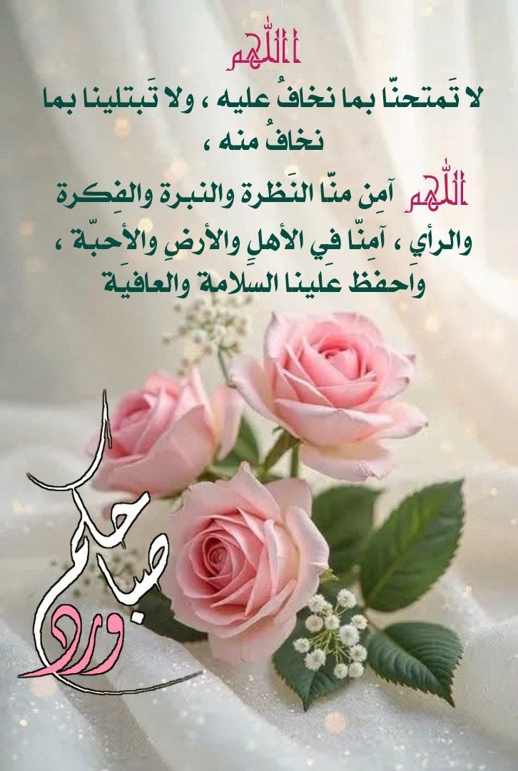 د.مريم المري_ Dr.Maryam Al Marri tweet media