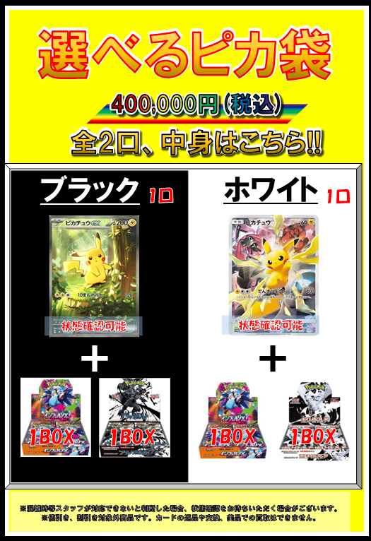 ⚡️⚡️⚡️⚡️⚡️⚡️⚡️ 「選べるピカ袋」 400,000円 全2個 販売