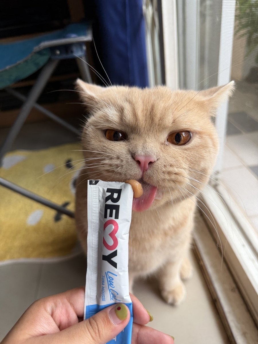 whalmeg tweet media