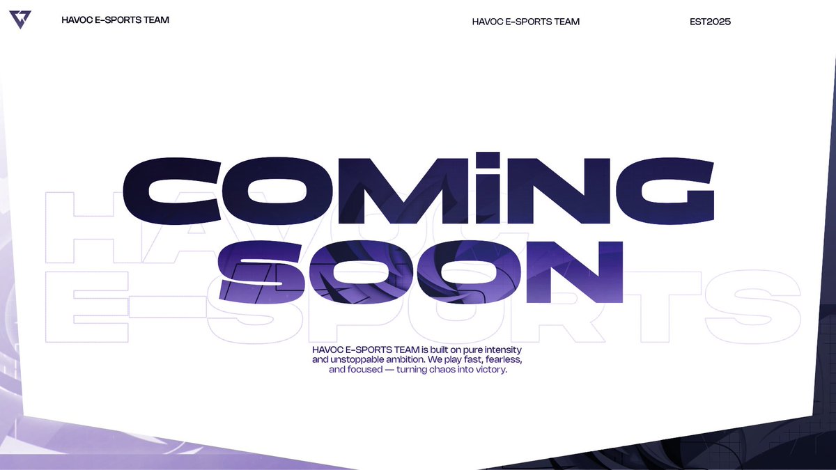 HAVOC E-sports(HVC) tweet media