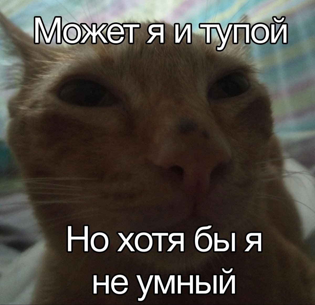 парабеллум tweet media