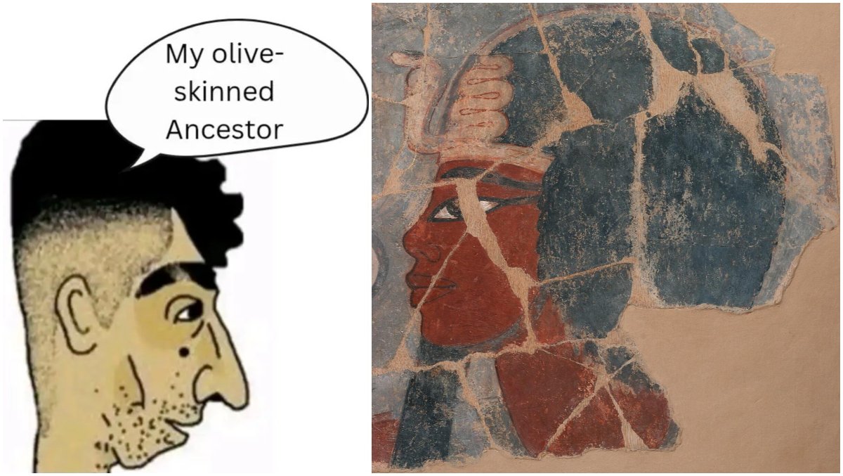 Narmer X tweet media