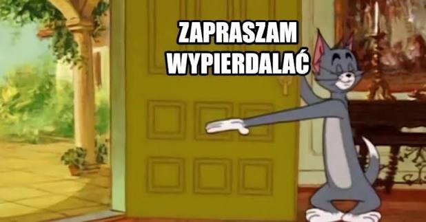 Kolson🇵🇱 tweet media