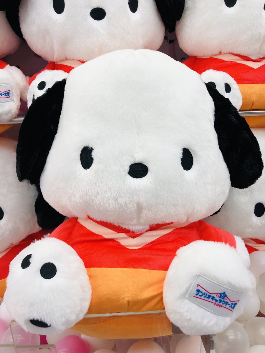入荷情報］ 「ポチャッコ キャラクター大賞2026超超BIGぬいぐるみ