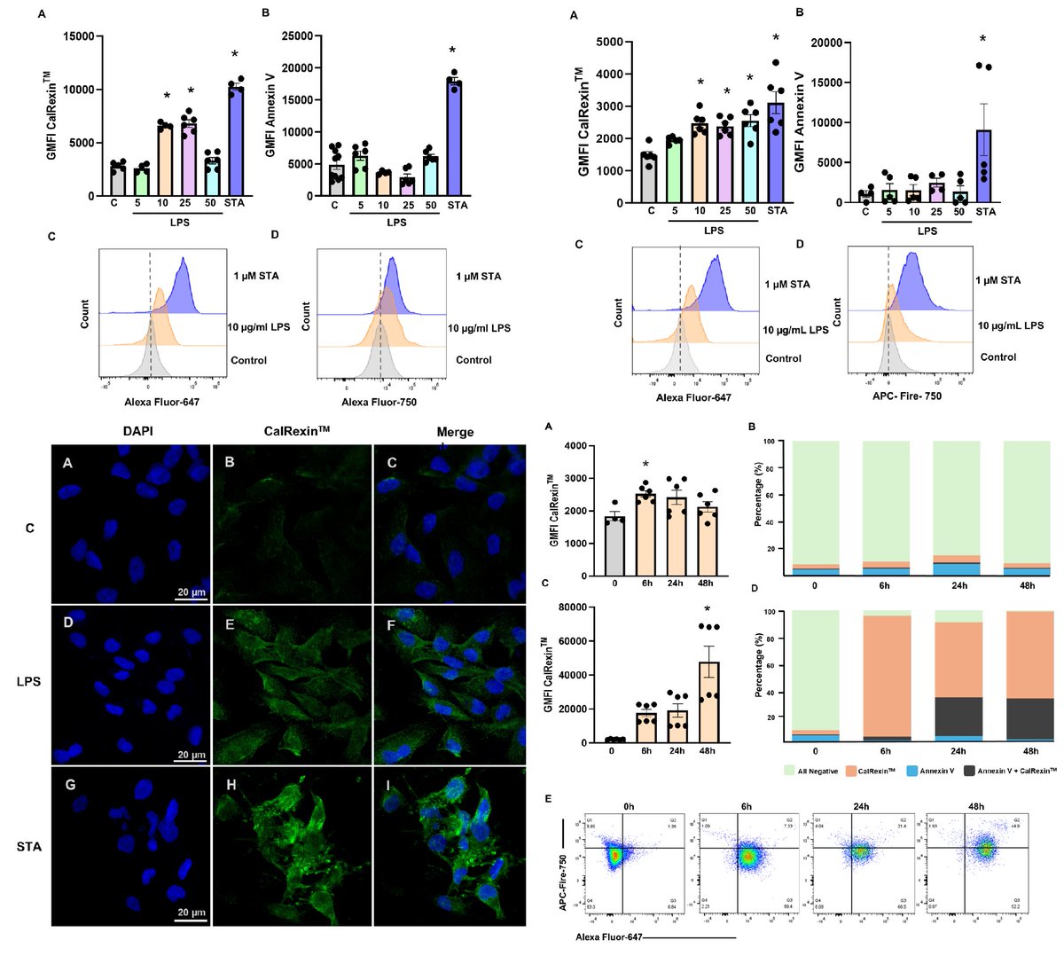 Landmark_IMR's tweet photo. 💡 Can a cell-surface receptor flag when #TNBC cells silently switch on #NFkB stress survival mode? 🧬 #BreastCancer #CancerResearch

🧠The latest work from @UniofAdelaide by first author @HaniehHeydarlou and her team is now featured in FBL!

👉: https://t.co/1gxDzlU2Yd

  #Biomarker #Oncology #CellBiology #CancerBiology #WomensHealth #TranslationalResearch #BreastCancerResearch #OpenAccess