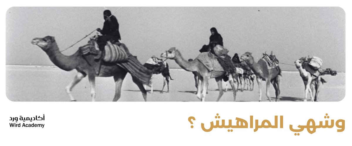 Wird Academy | أكاديمية وِرد tweet media