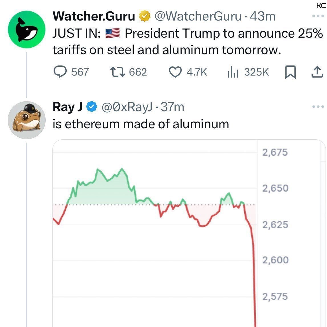 Bitcoin Teddy tweet media