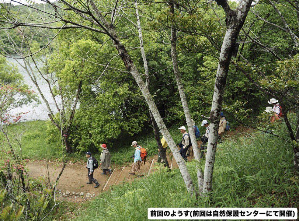 kura_n_h_museum's tweet photo. みなさん、『スゲ』って知ってる？
葉っぱの細長い“ただの草”と思われてしまうことが多いのだけど、実は日本に300種近くも分布するとっても多様で魅力的な植物のグループです。
スゲの先生と一緒に歩くと、道端の観察が何倍も面白くなるよ。ぜひ参加してね❗️

詳しくはこちら
https://t.co/mwDvpkUfzm https://t.co/ViRdJGhjBR