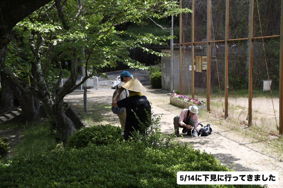 kura_n_h_museum's tweet photo. 地学・動物・昆虫・植物担当の4人の学芸員と一緒に、倉敷の身近な緑地「向山（むこうやま）」へ行ってみよう❗️
博物館発着でお気軽にご参加いただけます。初夏の山では、どんな生き物や岩石が見られるかな？

詳しくはこちら
https://t.co/XsUe0fZNm5 https://t.co/bjDQEYc4hk