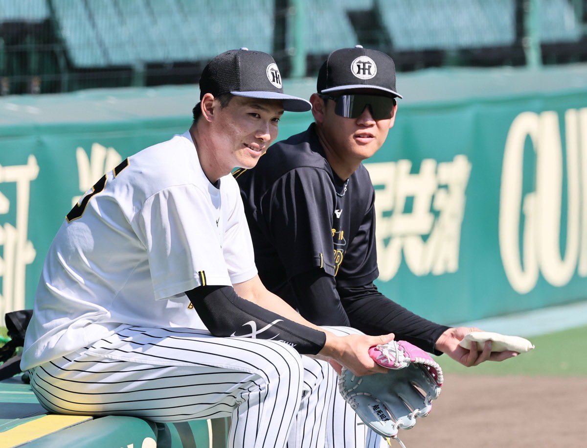 デイリー阪神担当×タイガース tweet media