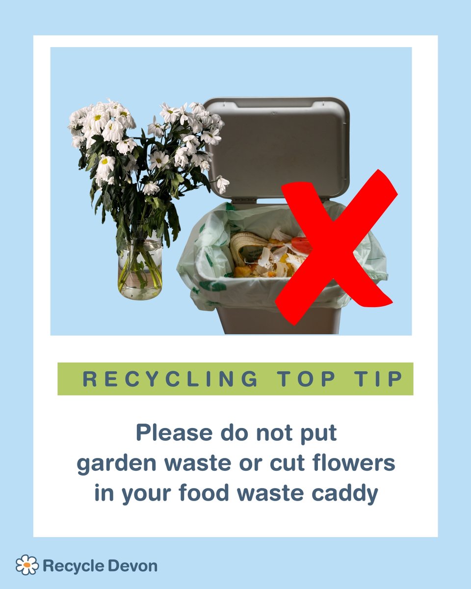 RecycleDevon's tweet photo. Top Tip Tuesday ♻

Please do not put cut flowers in your food waste caddy🥀

✅ Instead, put them in your compost, garden waste collection, or rubbish bin.

#toptiptuesdays

@SouthHams_DC @eastdevon @WestDevon_BC @MidDevonDC @ExeterCouncil @torridgedc @Teignbridge https://t.co/t80h2N9iWq