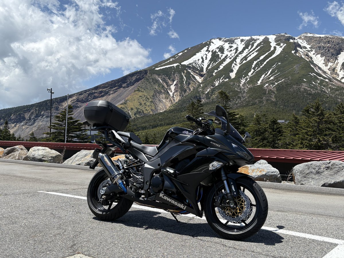 最高の野生種 tweet media