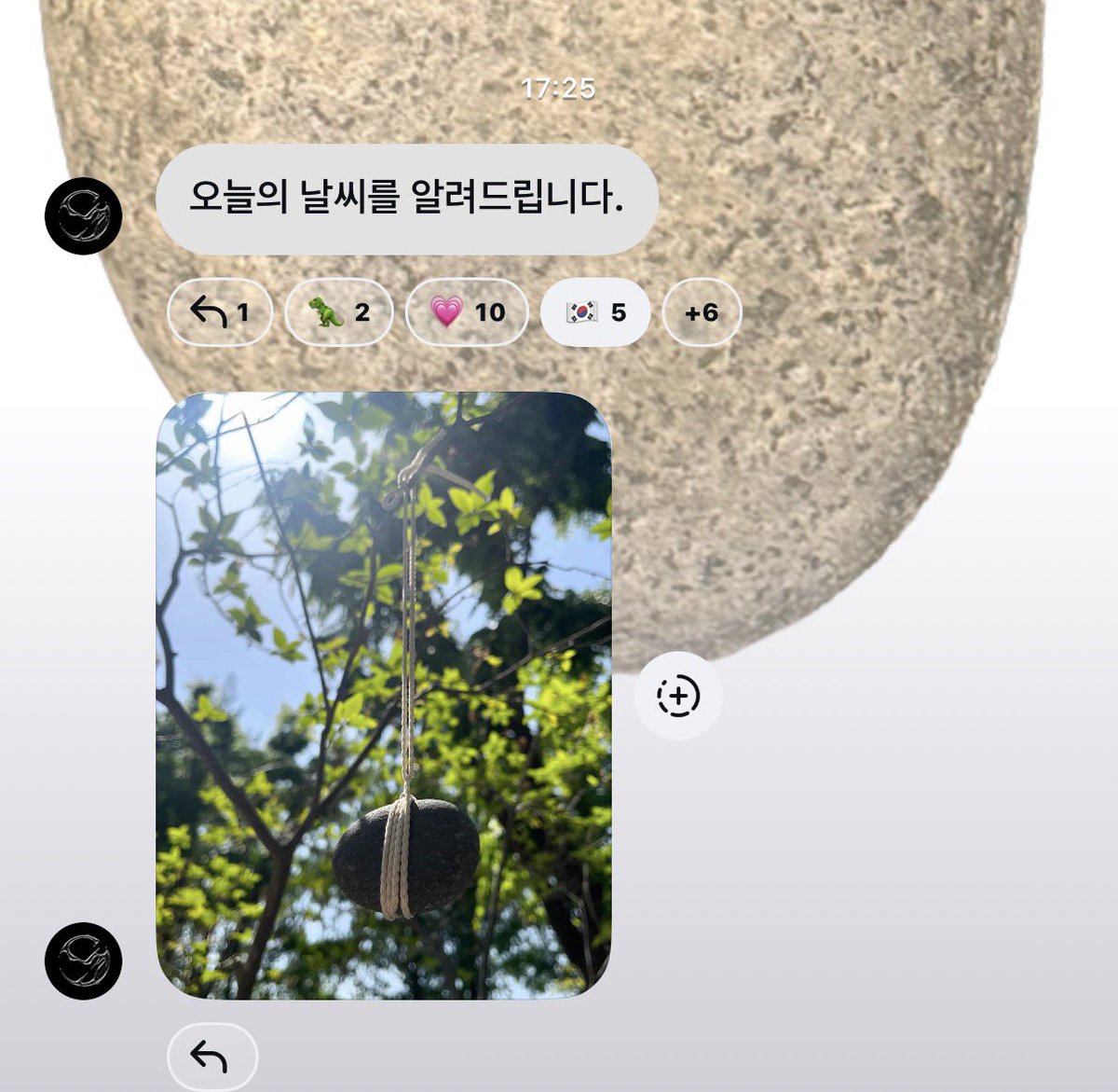 샤부샤부 tweet media