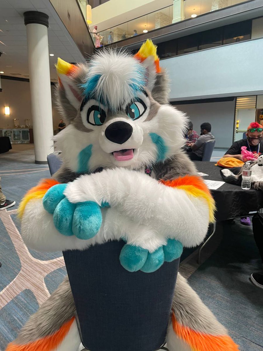 SwerveHusky's tweet photo. Tell me about your week, I'm all ears!
#fursuitfriday #fursuit #furry https://t.co/CYTgFd0Fx3