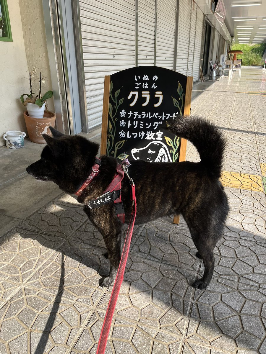 Kazuyoshi Tashiro tweet media