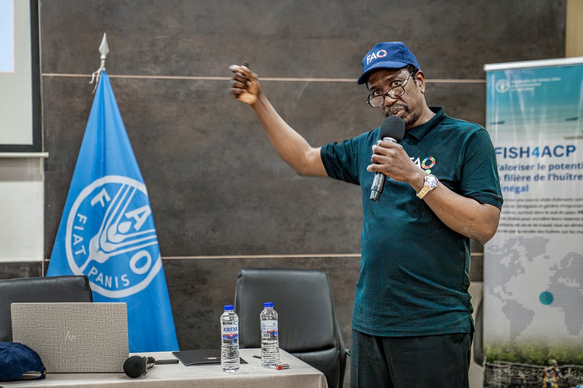 FAOWestAfrica's tweet photo. Au cœur de la retraite #ONEFAO Sénégal, Djibril Drame distingué Employé de l’année – Programme SFW 🎉 Une fierté collective pour les équipes du bureau sous-régional de la FAO pour l'Afrique de l'Ouest et de @FAOSenegal qui saluent son impact au quotidien 🙌 https://t.co/a0L4LbFJT0