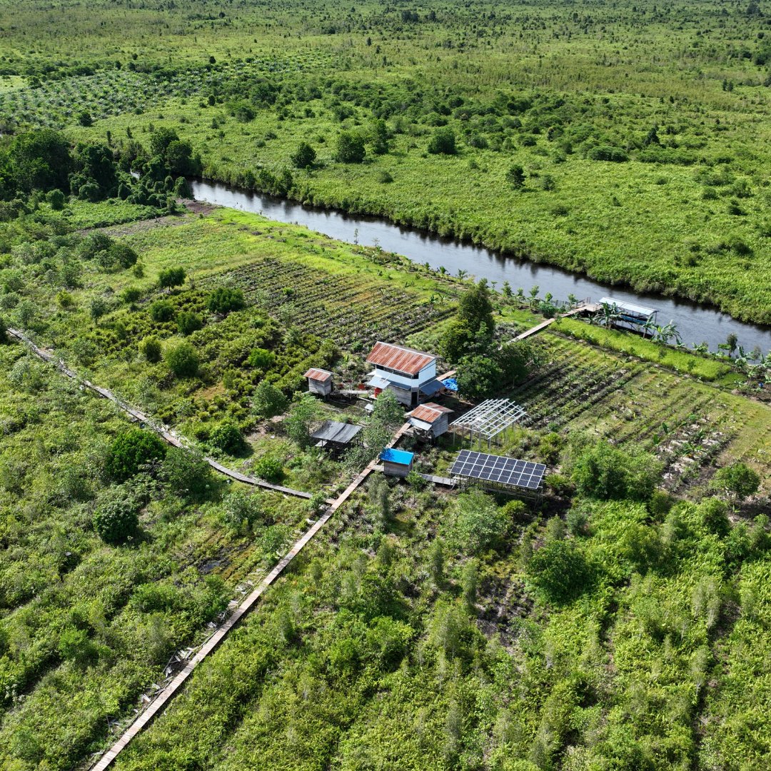 KMPEnglish's tweet photo. ☀️ Across villages within the project area, solar systems have been installed to provide clean and consistent electricity. 

In areas without access to national grids, renewable energy enables new economic opportunities while reducing reliance on fossil fuels.

#KMP https://t.co/ET1rgGFMMJ