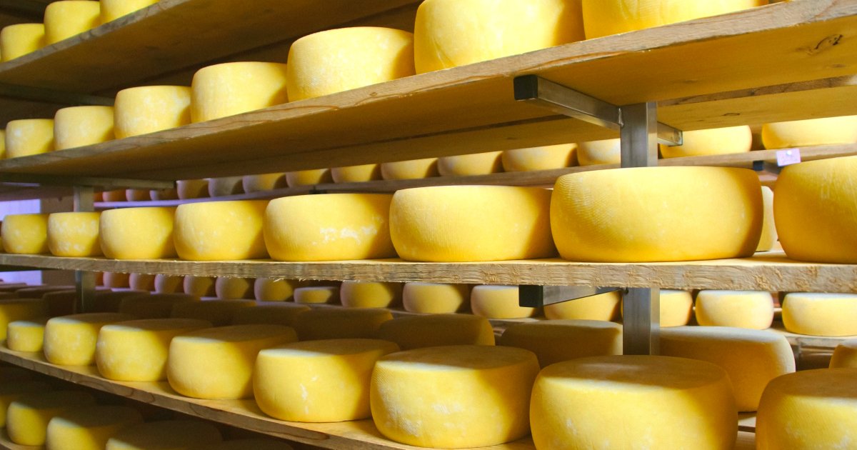 visitportugal's tweet photo. If you like cheese, São Jorge cheese is a must-try.
With a minimum curing time of three months, it has a firm texture and an intense, slightly spicy flavour. It's a true classic of #Azores cuisine and makes the trip worth it. https://t.co/WesYwwyHKt
#VisitPortugal #Portugal #food https://t.co/L71hTzCh62