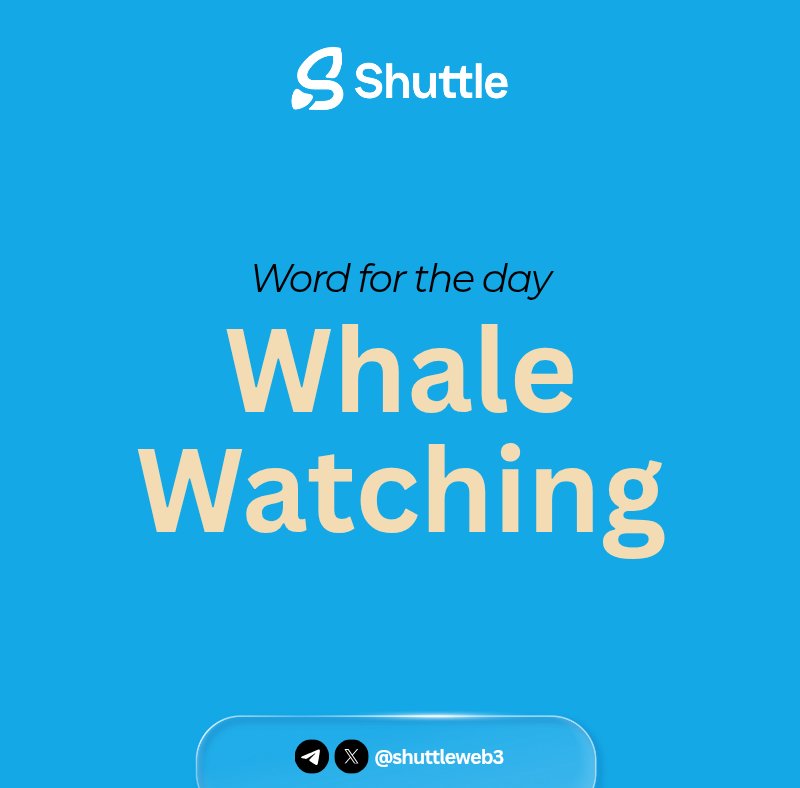 ShuttleWeb3's tweet photo. 🗒️ Word of the Day: WHALE WATCHING

Is the practice of monitoring major wallet movements to spot potential market shifts.

WHALE WATCHING provides clues about smart money behavior.

Following whales can reveal trends before they become obvious.

PS: For educational purpose, NFA https://t.co/UOxwmHssrQ