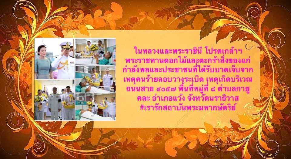 สืบพระบาทปราชญ์ราชัน๑๐🎗️💛 tweet media