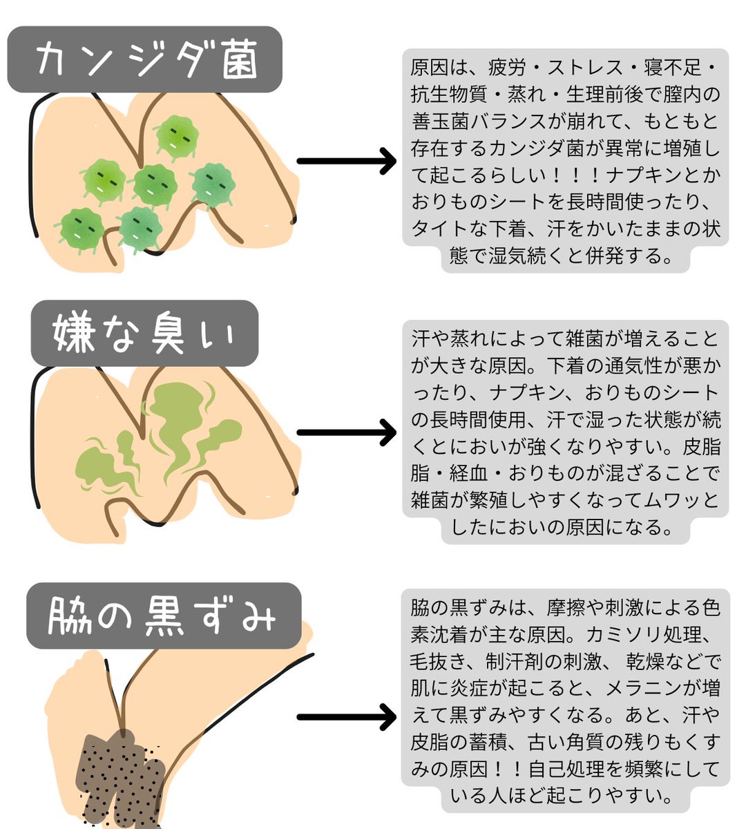 らめ姉 tweet media
