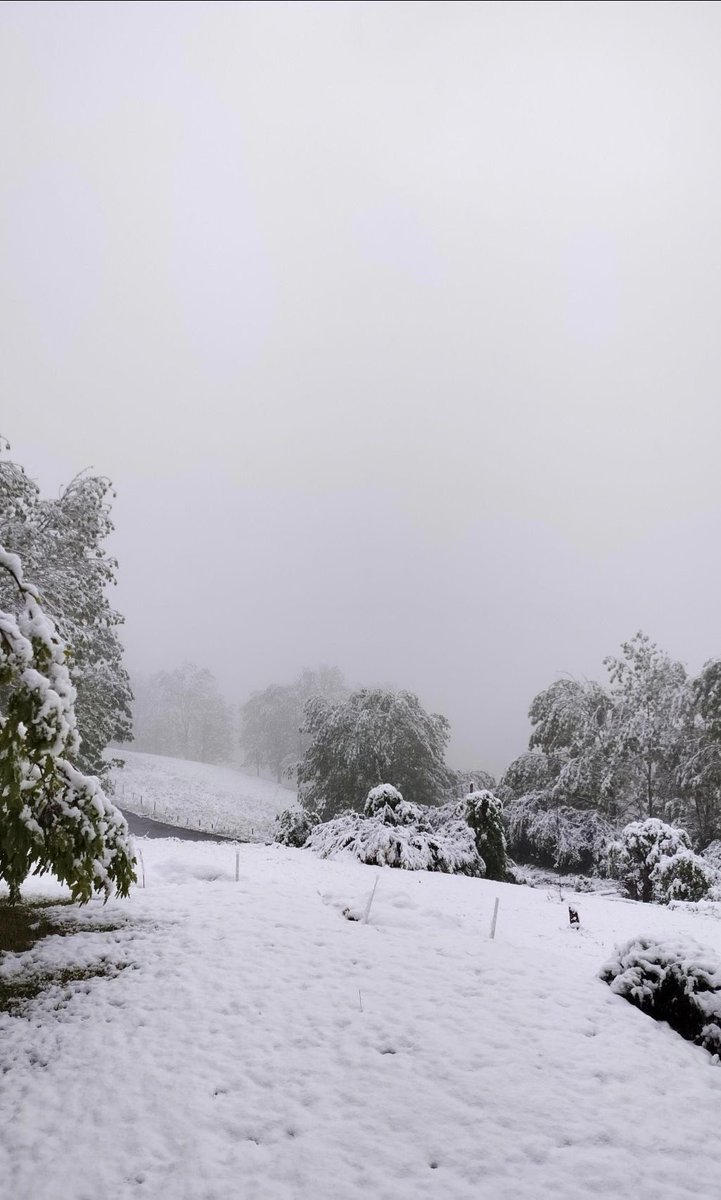 Météo-France tweet media