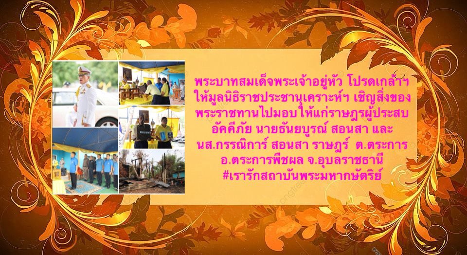 สืบพระบาทปราชญ์ราชัน๑๐🎗️💛 tweet media