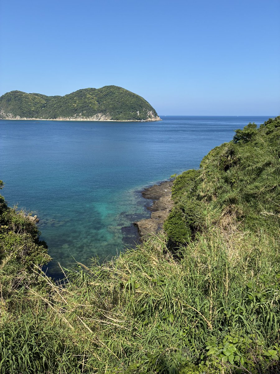 isedarisa's tweet photo. 猫取材のためにひとっ飛びしてきた✈️
帰り際に福岡市美で小磯良平展も見れて大満足。 https://t.co/u35rmQqRdT