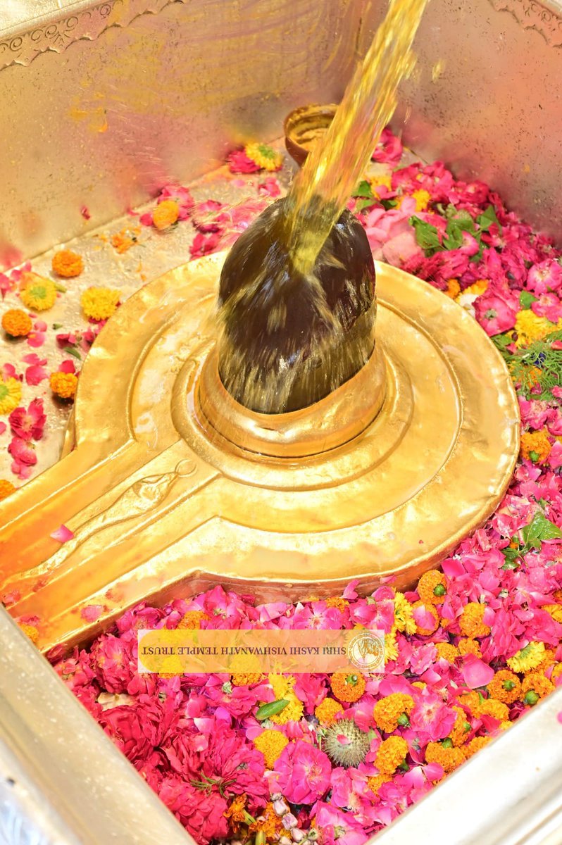 ShriVishwanath's tweet photo. श्री काशी विश्वनाथ जी की मध्यान्ह-भोग आरती I
#kashi #darshan #kashivishwanath #VishwanathDham #blessings https://t.co/OpUvdn2LuP
