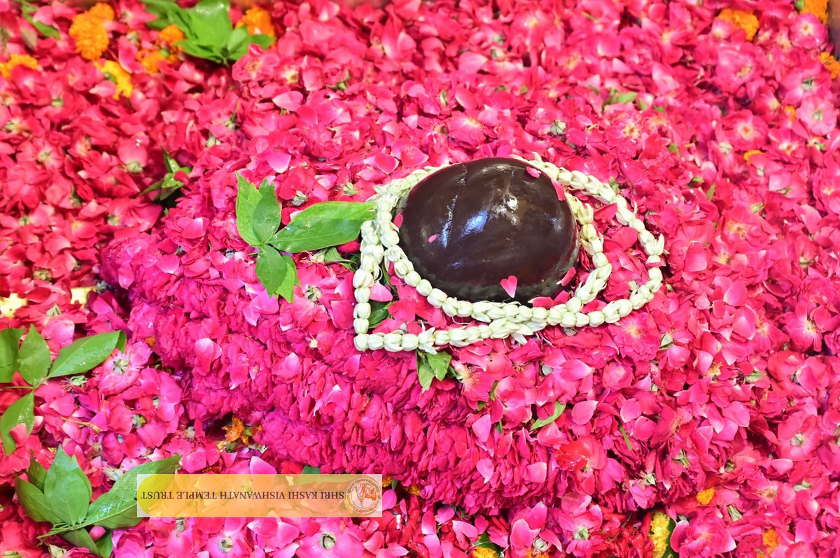 ShriVishwanath's tweet photo. श्री काशी विश्वनाथ जी की मध्यान्ह-भोग आरती I
#kashi #darshan #kashivishwanath #VishwanathDham #blessings https://t.co/OpUvdn2LuP