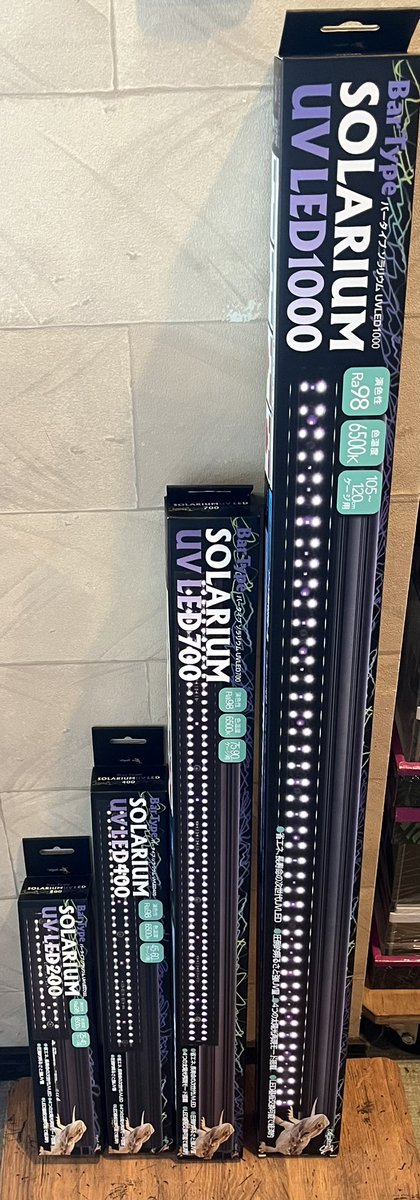 爬虫類ショップ WildMonster tweet media