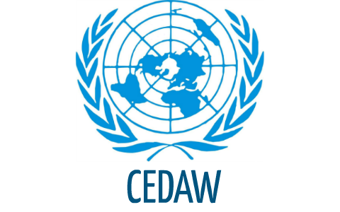 ContraBorrado's tweet photo. Hemos enviado aportaciones al borrador de la Recomendación General n.º 41 de la CEDAW sobre el Desmantelamiento de los Estereotipos de Género, proponiendo correcciones al borrador en base a los siguientes criterios:

1.Los Estados aprobaron la Convención contra la discriminación por razón de sexo. El Comité CEDAW no puede modificar ese marco incorporando otros conceptos mediante una recomendación interpretativa.
2. Si el “género” se entiende como el conjunto de roles y expectativas sociales asignadas a hombres y mujeres, el Comité CEDAW no puede pretender combatir esos estereotipos mientras al mismo tiempo les da reconocimiento jurídico.
3. La discriminación contra las mujeres tiene una base material: el sexo. El Comité CEDAW no puede difuminar esa realidad introduciendo conceptos ambiguos que dificulten identificar correctamente el problema.
4. Si los datos dejan de recogerse sobre la base del sexo, o se diluyen en otras categorías, se invisibilizan realidades concretas que afectan a las mujeres. El Comité CEDAW no puede promover marcos que dificulten medir con precisión la discriminación que la Convención pretende combatir.
5.Introducir conceptos nuevos o poco definidos en un marco jurídico internacional genera inseguridad jurídica y favorece interpretaciones contradictorias. El Comité CEDAW no puede crear incertidumbre sobre el alcance de obligaciones que los Estados no aprobaron en esos términos.  #SexoNoEsGenero
[CEDAW: Convención sobre la Eliminación de Todas las Formas de Discriminación contra la Mujer]