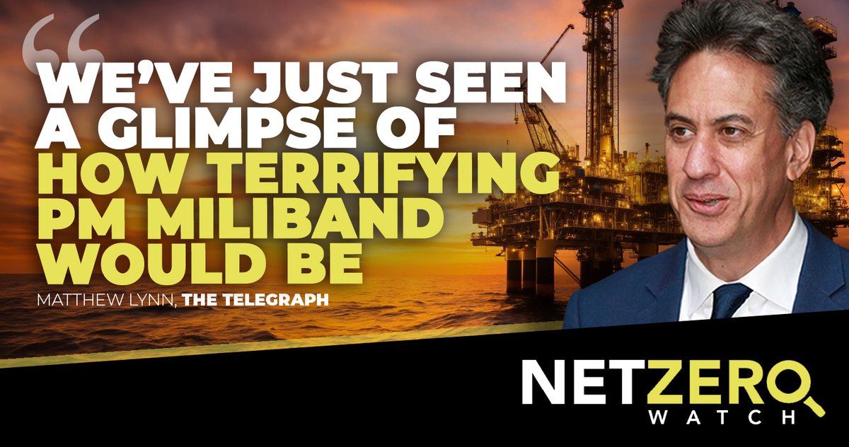 Net Zero Watch tweet media
